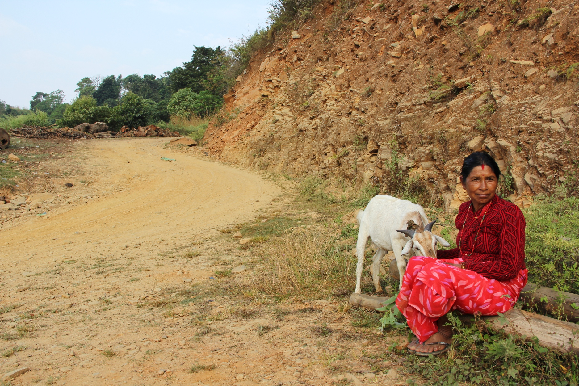 Devi Pokharel of Phalam Khani waits by the side of the road with her goat, for a crowded bus to take them the dusty 150km to Kathmandu. Normally her whole family returns to her village for the festival. “Now my house is gone, and I have to get to the city because no-one will come here,” she added. “It is far, and very tiring for me. The fuel problem means it is expensive to travel now and there is very little room on the bus. Without cooking gas in the city I have to pay someone else 2000 rupees (US$20) to butcher and prepare the goat for the feast. If others would have come here, we could have done everything ourselves.”